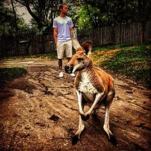 Meet your Posher, Benjamin